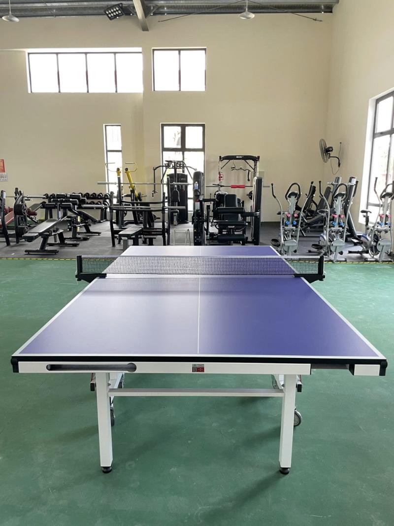 Đặc điểm nổi bật bàn bóng bàn Harito