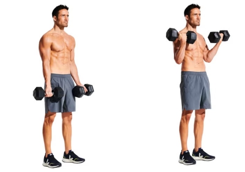 Top 15 bài tập giúp nam giới tăng cơ giảm mỡ hiệu quả nhất 9 bài tập giúp nam giới tăng cơ giảm mỡ