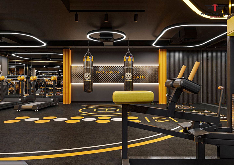 15 phòng tập thể hình chuyên nghiệp ở Hà Nội tốt nhất 10 Phòng tập thể hình ở Hà Nội MK Fitness