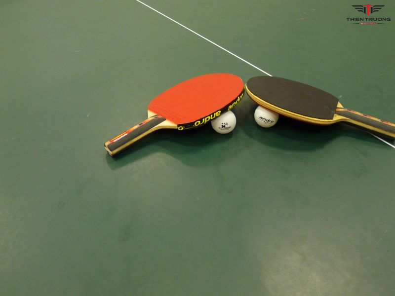 câu lạc bộ bóng bàn Nam Định