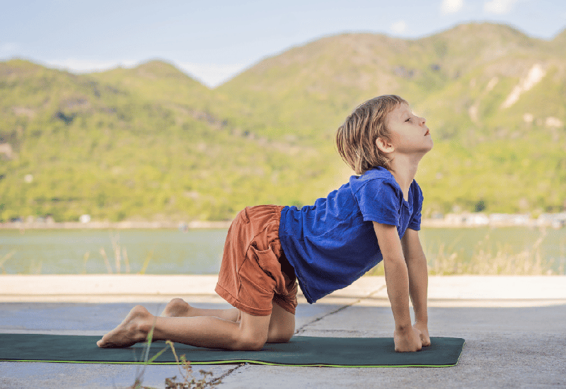 10 bài tập yoga cho trẻ em đơn giản và dễ thực hiện nhất 3 Tư thế con mèo - con bò