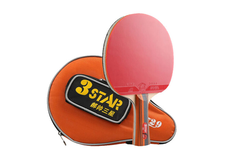 Top 5 vợt bóng bàn dưới 1 triệu giá rẻ đáng đầu tư nhất 2 Vợt bóng bàn 729 3 Star