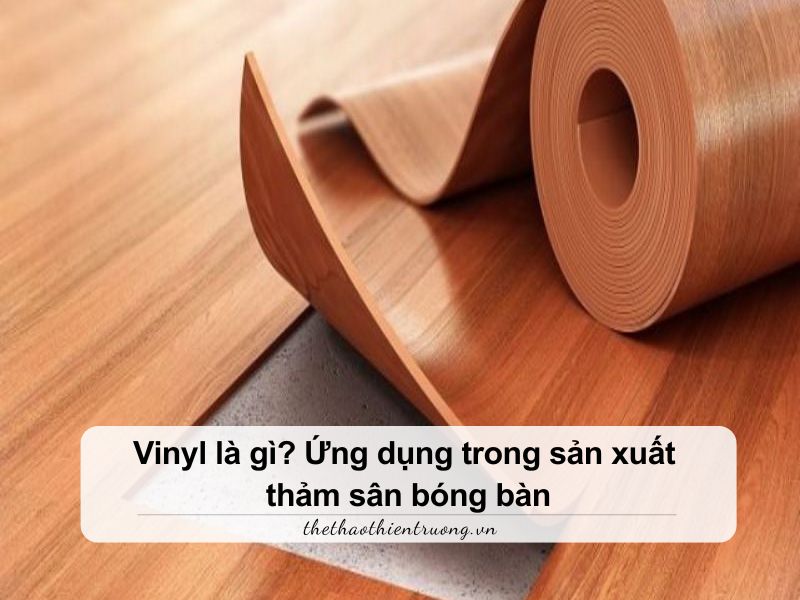 Vinyl là gì? Ứng dụng trong sản xuất thảm sân bóng bàn 1 vinyl là gì