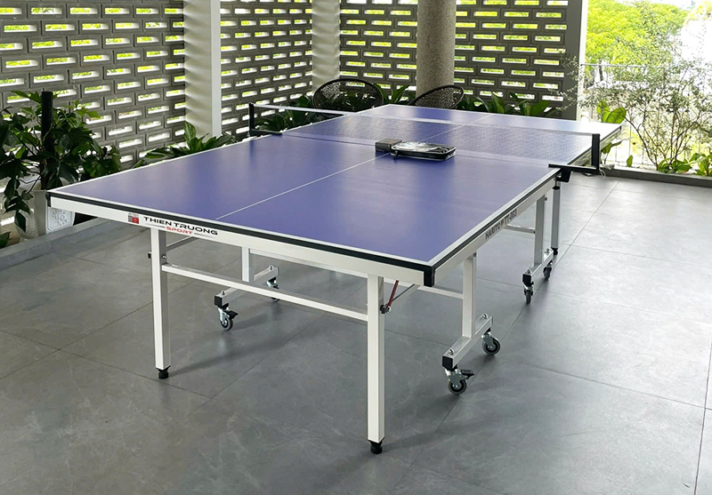 Bàn bóng bàn TT003