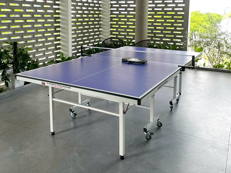 Độ dày mặt bàn bóng bàn là gì? Cách chọn độ dày bàn phù hợp 3 Bàn bóng bàn TT-003