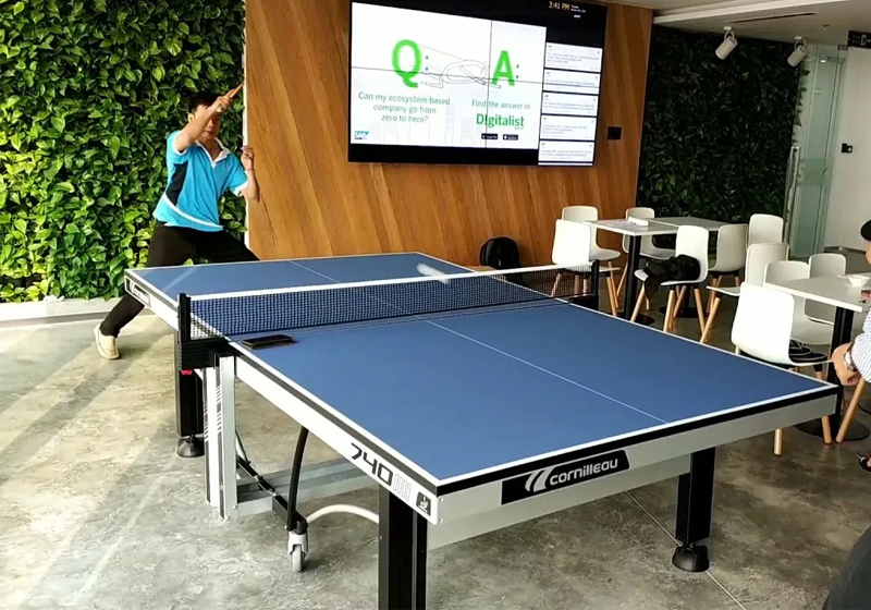Hướng dẫn cách bảo quản bàn bóng bàn bền đẹp dài lâu 4 Bàn bóng bàn trong nhà