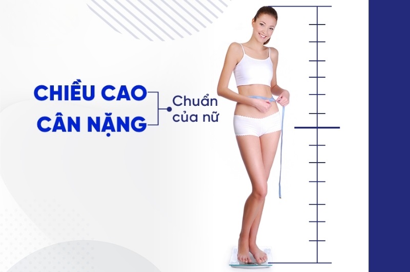 Bảng chiều cao cân nặng chuẩn của nữ 2025