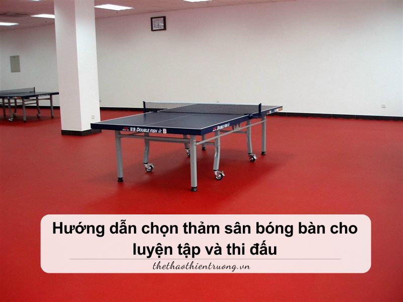 Hướng dẫn chọn thảm sân bóng bàn cho luyện tập và thi đấu 7 hướng dẫn chọn thảm sân bóng bàn