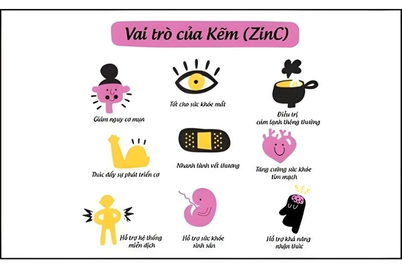 thực phẩm giàu kẽm