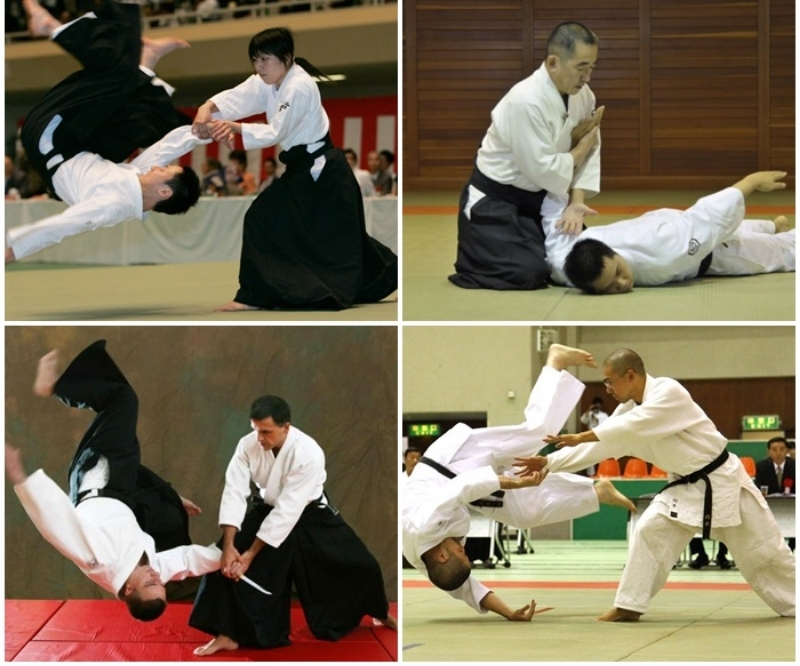 võ aikido