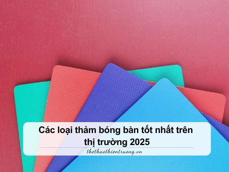 Các loại thảm bóng bàn tốt nhất trên thị trường 2025 2 thảm bóng bàn tốt nhất