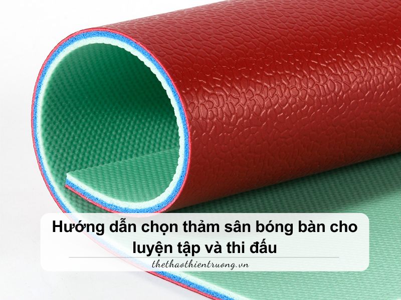 Thảm sân bóng bàn giá bao nhiêu? Bảng giá và cách chọn mua 4 thảm sân bóng bàn giá bao nhiêu