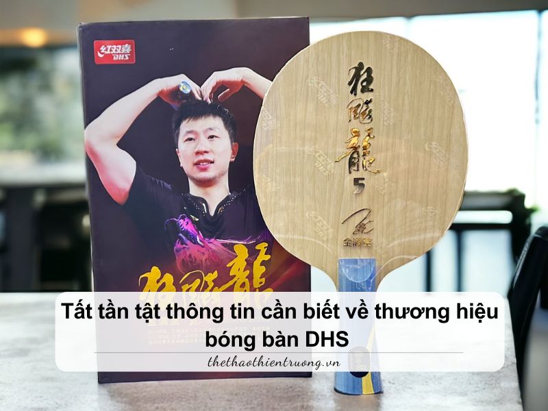 Tất tần tật thông tin cần biết về thương hiệu bóng bàn DHS 10 thương hiệu bóng bàn DHS