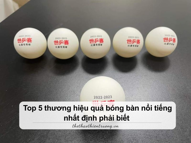 Top 5 thương hiệu quả bóng bàn nổi tiếng nhất định phải biết 2 thương hiệu quả bóng bàn