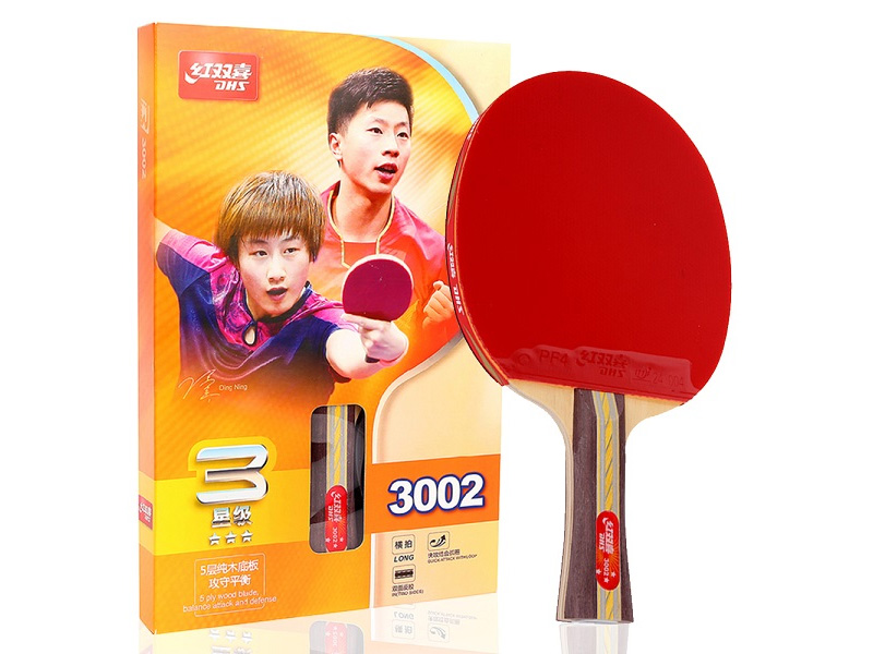 Thương hiệu bóng bàn DHS