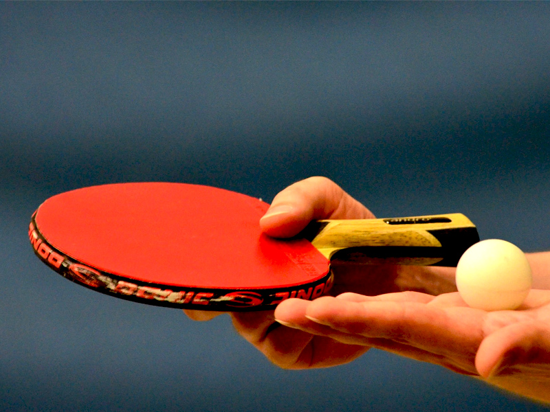 vợt bóng bàn khoảng 2 triệu