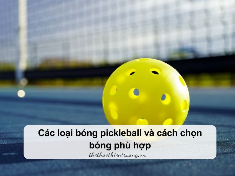 các loại bóng pickleball