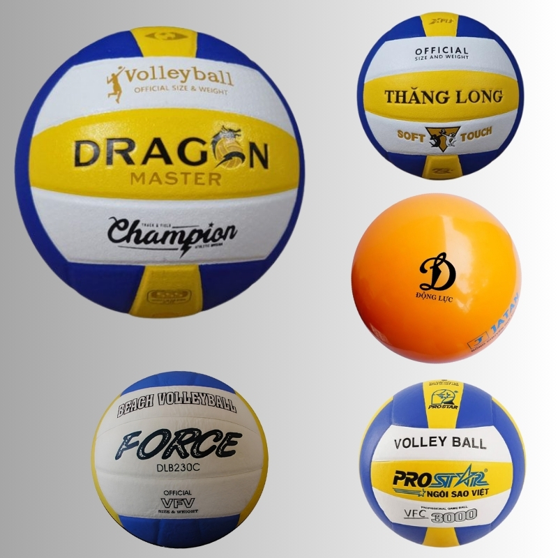 Thiên Trường cung cấp đa dạng mẫu mã quả bóng chuyền từ luyện tập và thi đấu