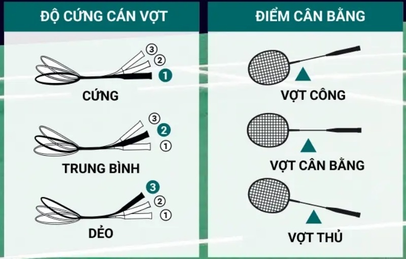 Phân loại vợt theo độ dẻo đũa vợt hoặc vị trí cân bằng vợt