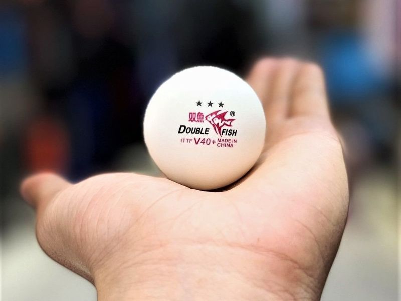 Bóng bàn Double Fish