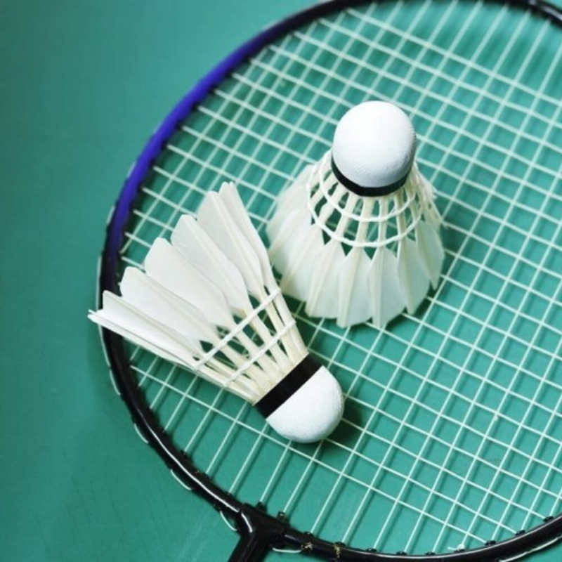 Quả cầu lông là trung tâm của mọi hoạt động trên sân đánh