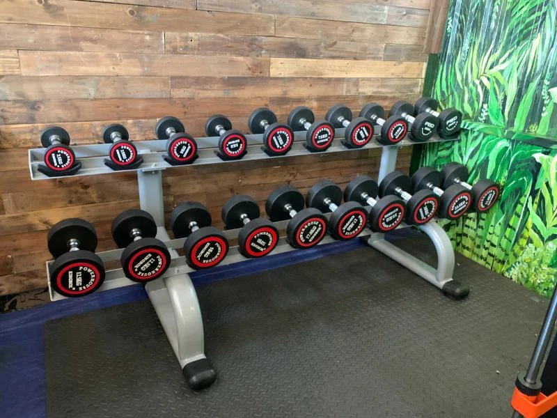 Dụng cụ tạ cầm tay là dụng cụ không thể thiếu với bài tập Dumbbell Lateral Raise