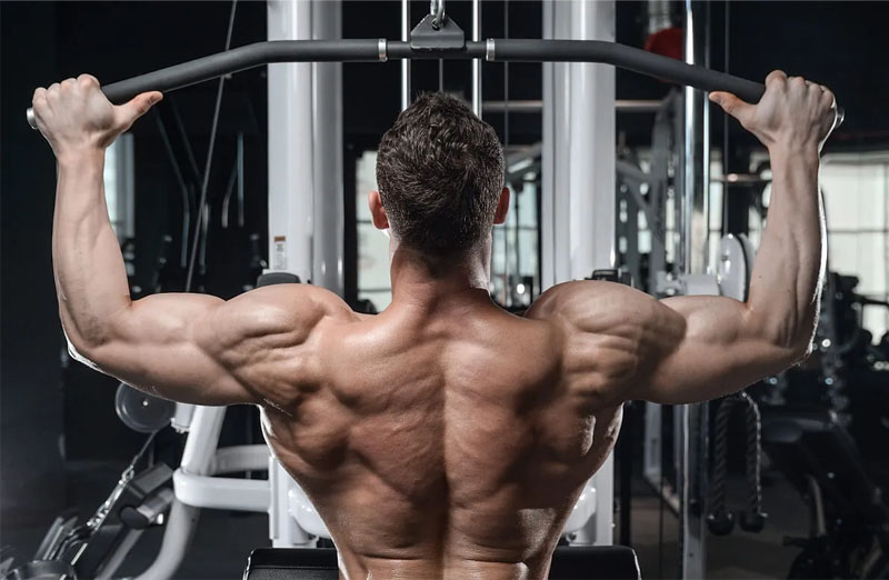 Top 5 lợi ích giàn tạ đa năng tuyệt vời nhất cho người tập 3 Bài tập với giàn tạ đa năng