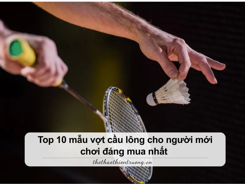 vợt cầu lông cho người mới chơi