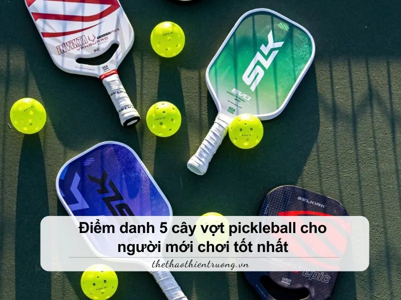 vợt pickleball cho người mới