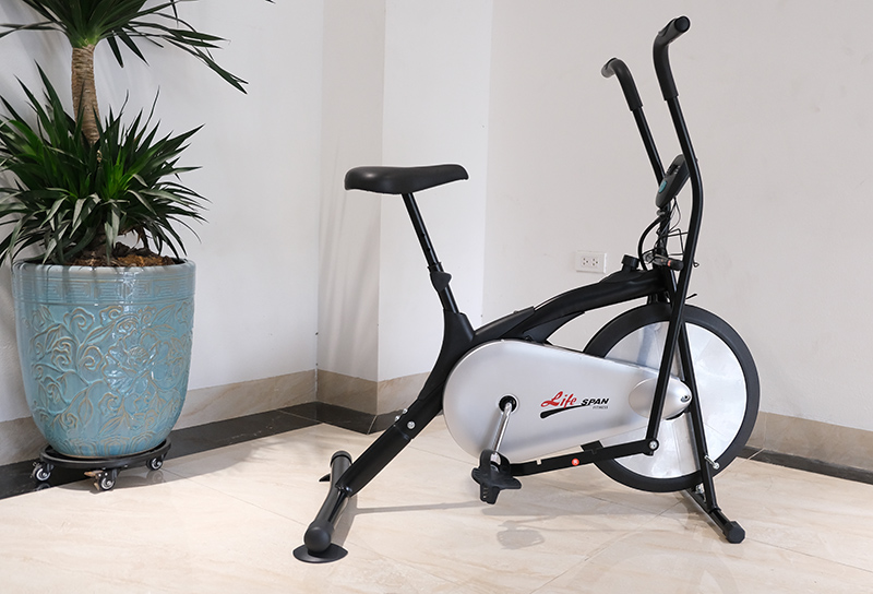 Xe đạp tập thể dục Life Span 