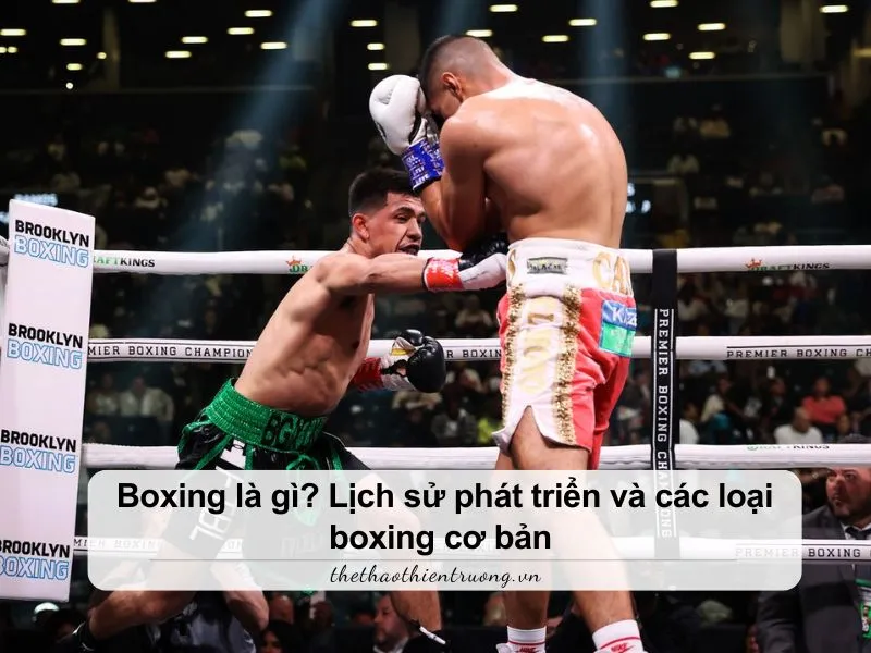 Boxing là gì