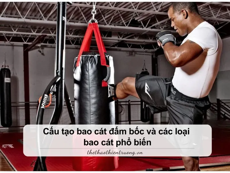 Cấu tạo bao cát đấm bốc