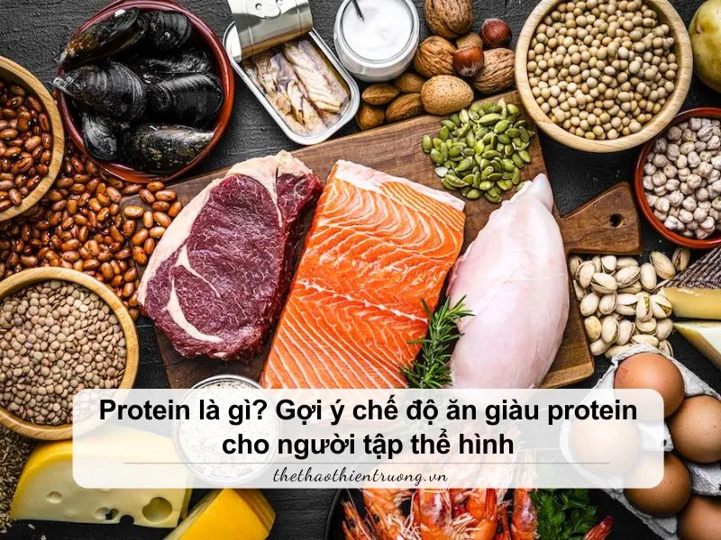 Protein là gì