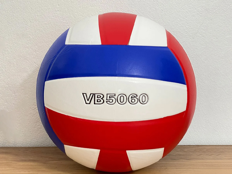 Quả bóng chuyền 