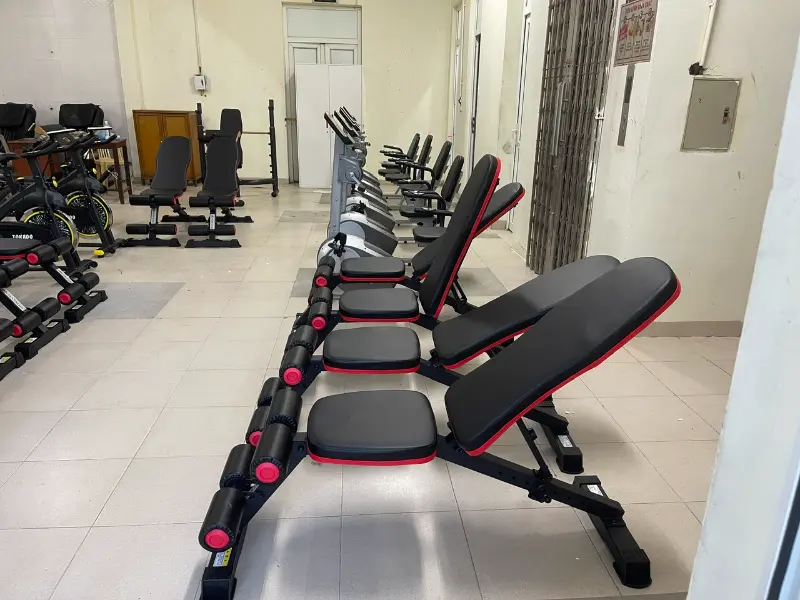 Ghế tập tạ MS-108 18 Đặc điểm cấu tạo của ghế tập gym MS-108