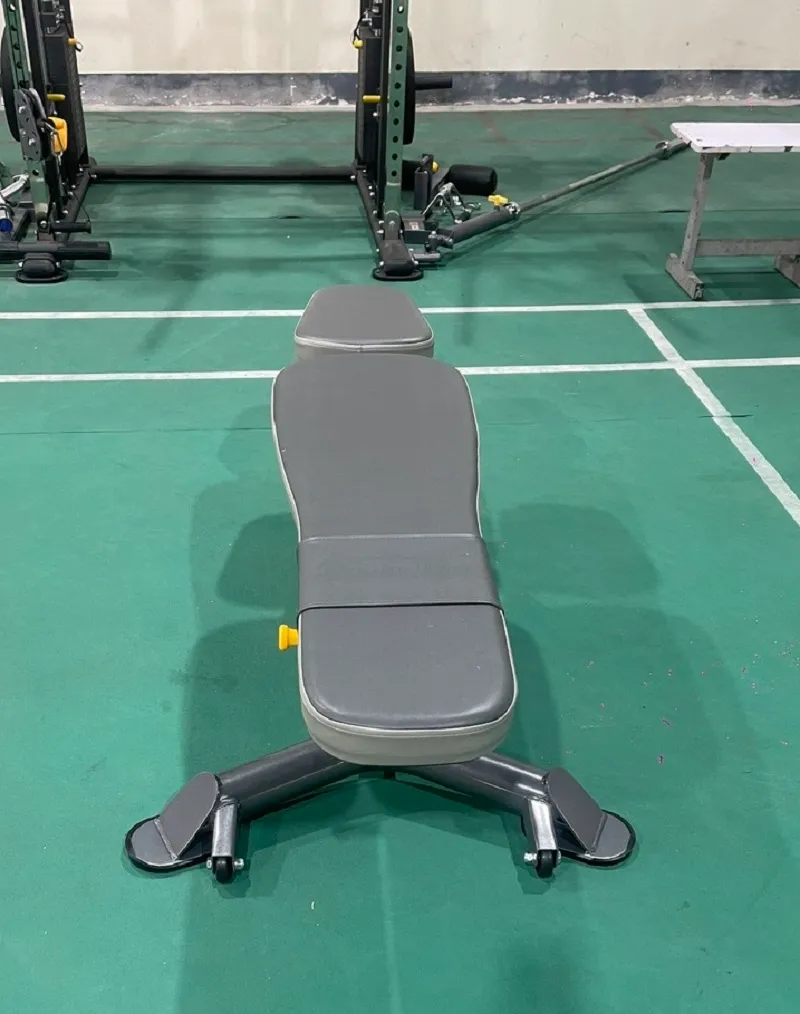 Dự án lắp đặt thiết bị phòng gym công ty Youngone