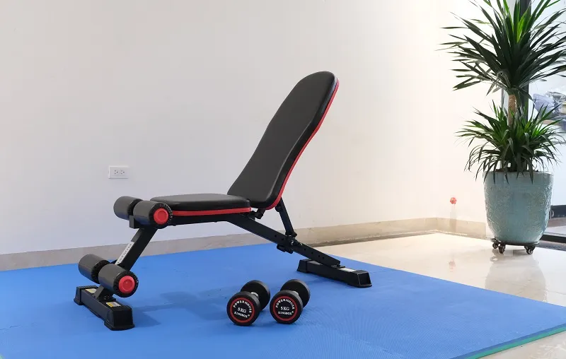 Ghế tập tạ MS-108 13 Ghế tập tạ MS-108