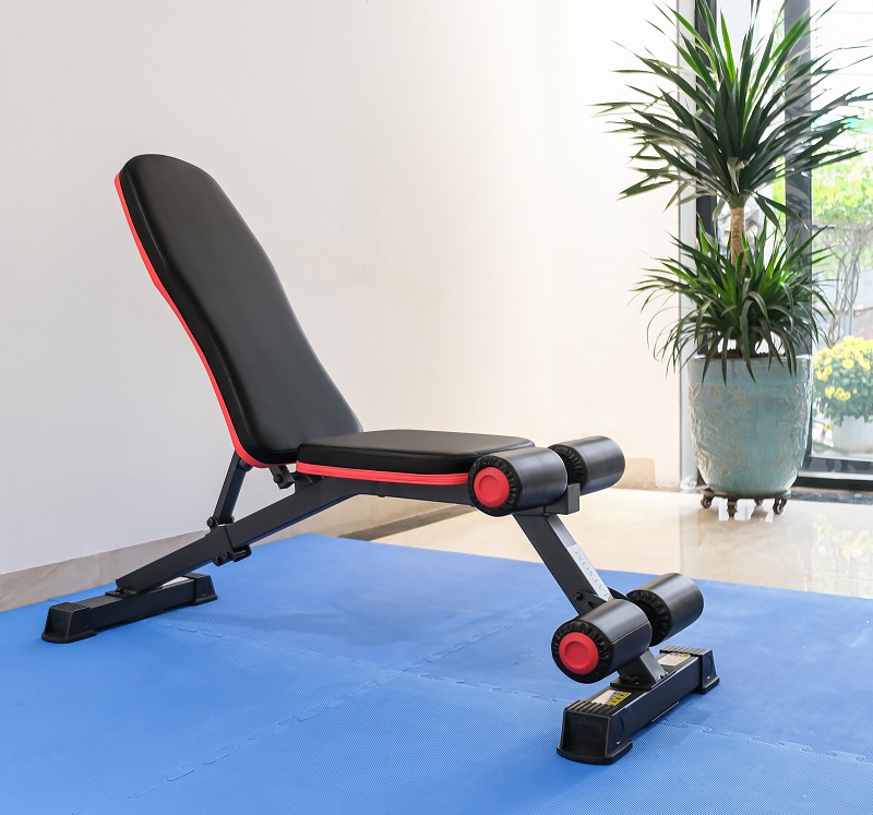 ghế tập tạ MS-108