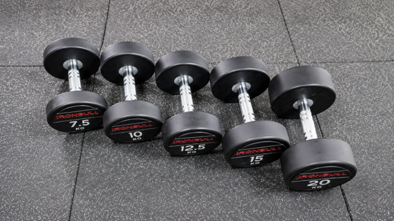 Đơn vị bán tạ Iron Bull giá tốt