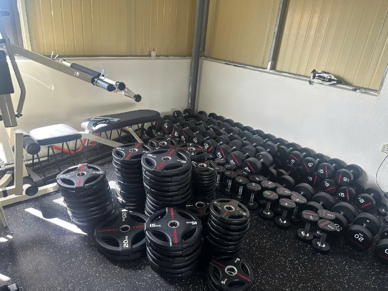 Tạ đĩa bọc cao su Iron Bull phi 52 (65.000/kg) 15 Địa chỉ mua tạ bánh Iron Bull tại đơn vị uy tín, giá tốt