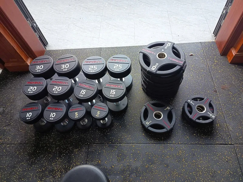 Tạ đĩa bọc cao su Iron Bull