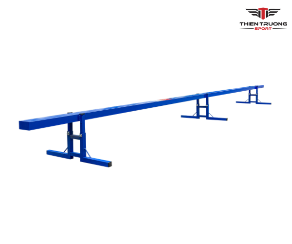 Hình ảnh thực tế cầu thăng bằng tập luyện TL 01
