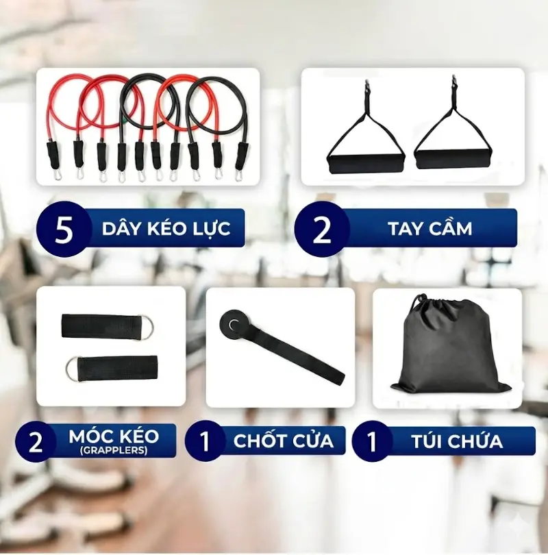 Phụ kiện bộ 5 dây kháng lực 200 LBS