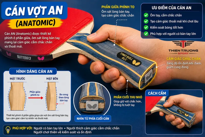 Phân loại cán vợt bóng bàn và cách chọn cán vợt tiêu chuẩn 2026 4 cán vợt AN