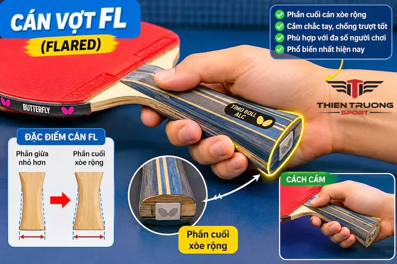 Phân loại cán vợt bóng bàn và cách chọn cán vợt tiêu chuẩn 2026 2 Phân loại cán vợt bóng bàn - cán vợt FL