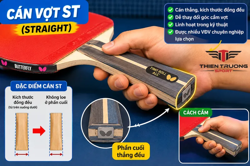 Phân loại cán vợt bóng bàn và cách chọn cán vợt tiêu chuẩn 2026 3 Phân loại cán vợt bóng bàn - cán vợt ST