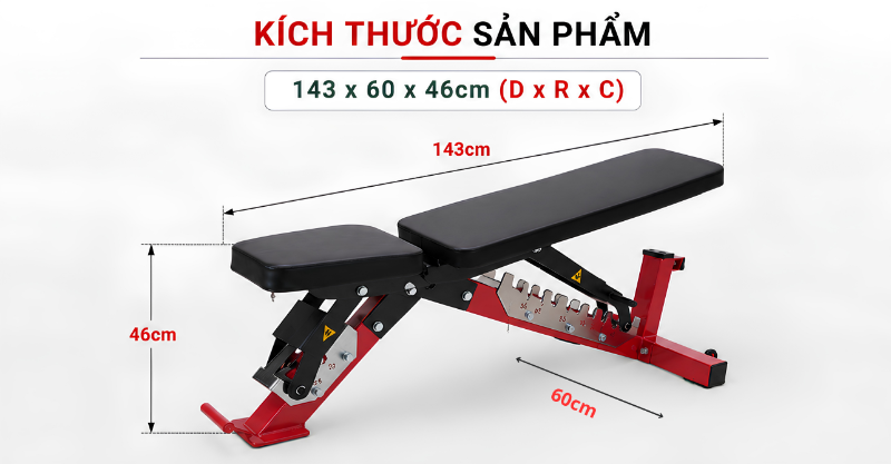 Đặc điểm nổi bật của ghế tập tạ JL065