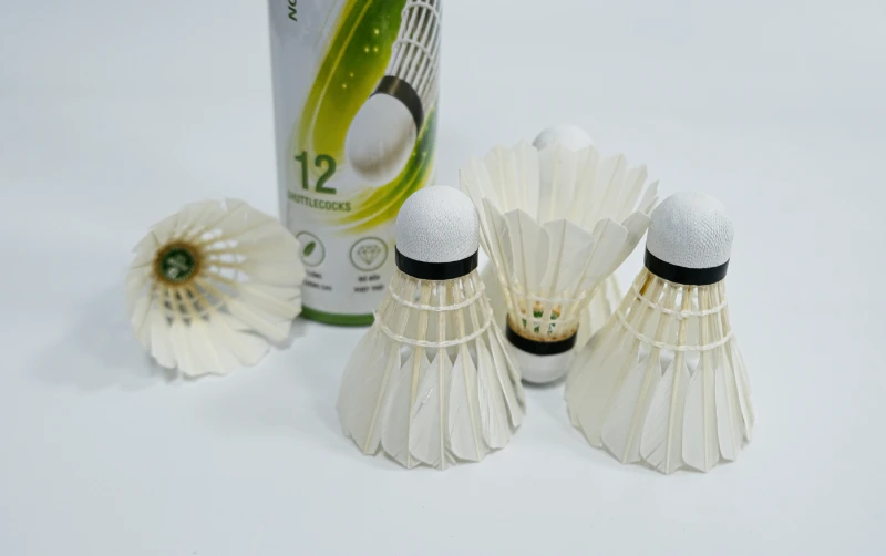 Địa chỉ mua quả cầu lông Duson uy tín 